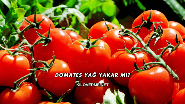 Domates Yağ Yakar mı?