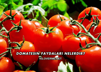 Domatesin Faydaları Nelerdir?