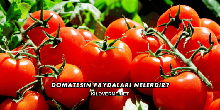 Domatesin Faydaları Nelerdir?