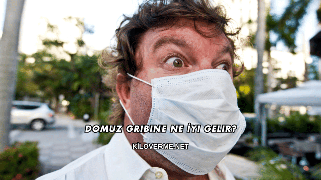 Domuz Gribine Ne İyi Gelir?