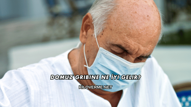 Domuz Gribine Ne İyi Gelir?