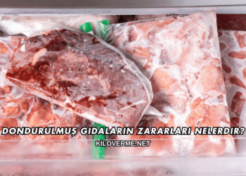 Dondurulmuş Gıdaların Zararları Nelerdir?