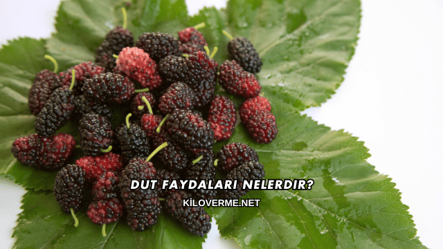 Dut Faydaları Nelerdir?