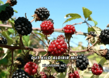 Dut Kilo Aldırır mı?