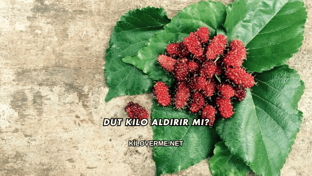 Dut Kilo Aldırır mı?