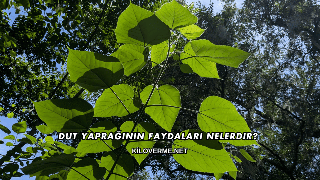 Dut Yaprağının Faydaları Nelerdir?