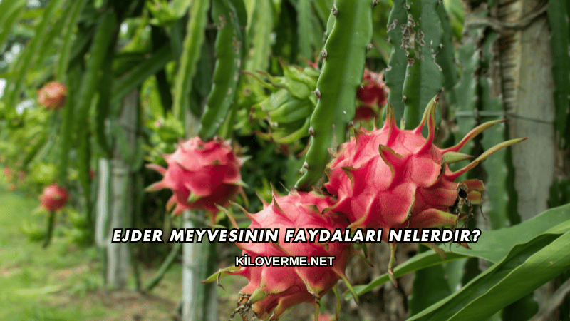Ejder Meyvesinin Faydaları Nelerdir?