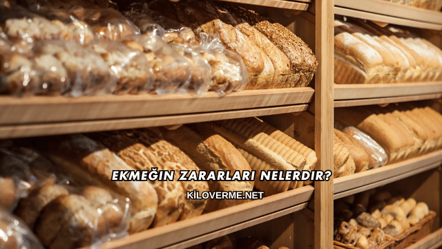 Ekmeğin Zararları Nelerdir?