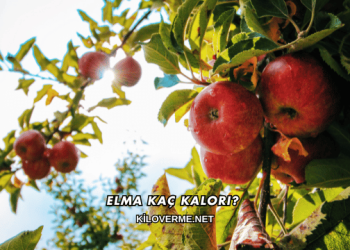 Elma Kaç Kalori?