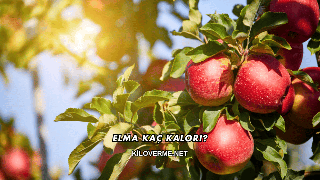 Elma Kaç Kalori?