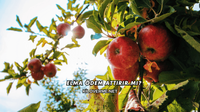 Elma Ödem Attırır mı?