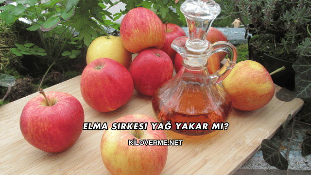 Elma Sirkesi Yağ Yakar mı?