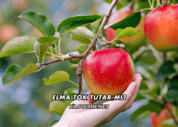 Elma Tok Tutar mı?