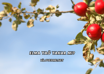 Elma Yağ Yakar mı?