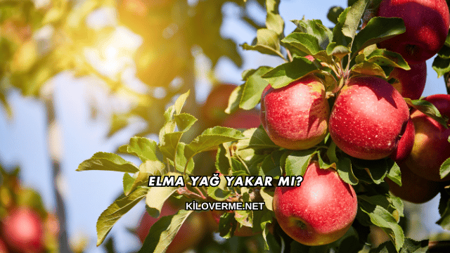 Elma Yağ Yakar mı?