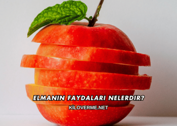 Elmanın Faydaları Nelerdir?