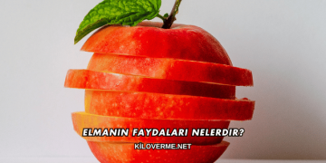 Elmanın Faydaları Nelerdir?