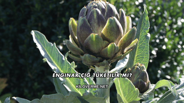 Enginar Çiğ Tüketilir mi?