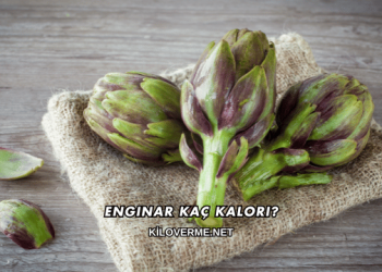 Enginar Kaç Kalori?