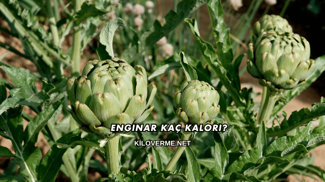 Enginar Kaç Kalori?
