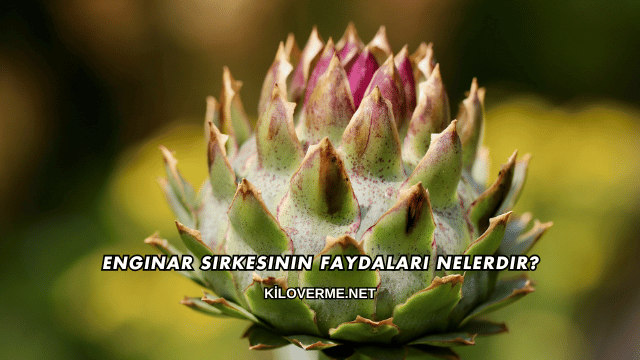 Enginar Sirkesinin Faydaları Nelerdir?