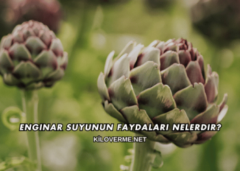 Enginar Suyunun Faydaları Nelerdir?