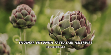 Enginar Suyunun Faydaları Nelerdir?