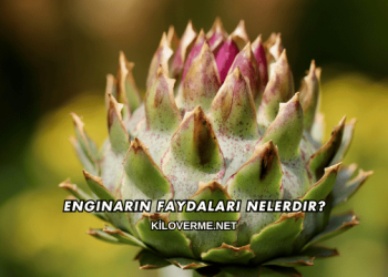 Enginarın Faydaları Nelerdir?