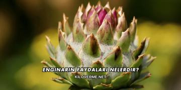 Enginarın Faydaları Nelerdir?