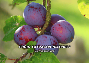 Eriğin Faydaları Nelerdir?