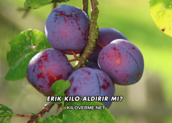 Erik Kilo Aldırır mı?