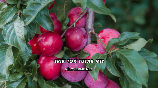 Erik Tok Tutar mı?