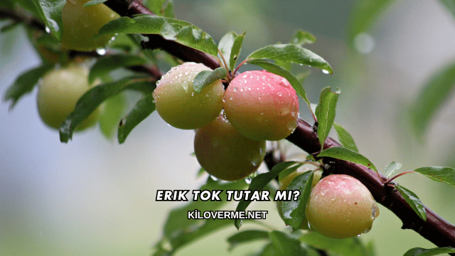 Erik Tok Tutar mı?
