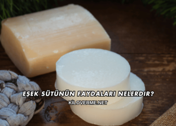 Eşek Sütünün Faydaları Nelerdir?