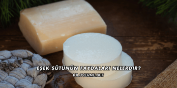Eşek Sütünün Faydaları Nelerdir?