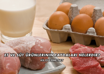 Et ve Süt Ürünlerinin Faydaları Nelerdir?