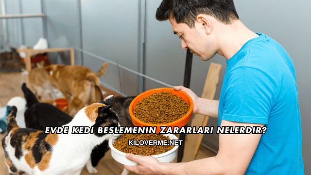 Evde Kedi Beslemenin Zararları Nelerdir?