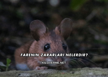 Farenin Zararları Nelerdir?