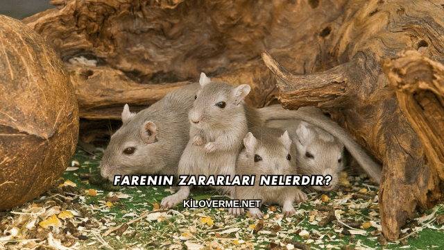 Farenin Zararları Nelerdir?