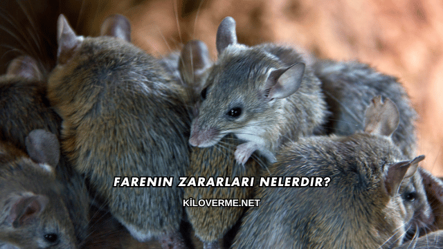 Farenin Zararları Nelerdir?