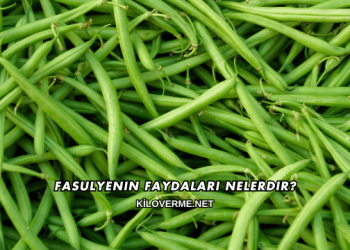 Fasulyenin Faydaları Nelerdir?