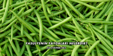Fasulyenin Faydaları Nelerdir?