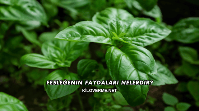 Fesleğenin Faydaları Nelerdir?