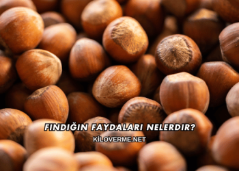 Fındığın Faydaları Nelerdir?