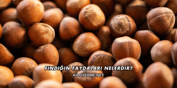 Fındığın Faydaları Nelerdir?