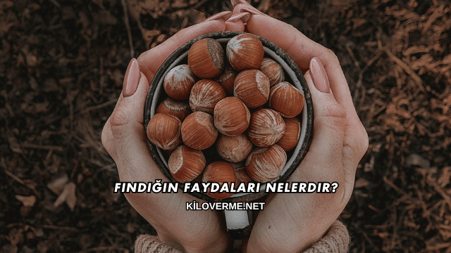 Fındığın Faydaları Nelerdir?
