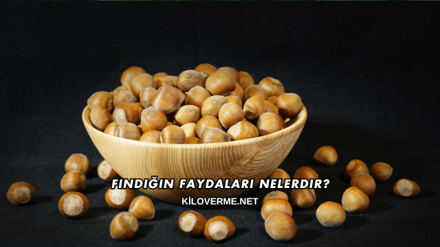 Fındığın Faydaları Nelerdir?