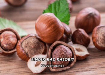 Fındık Kaç Kalori?