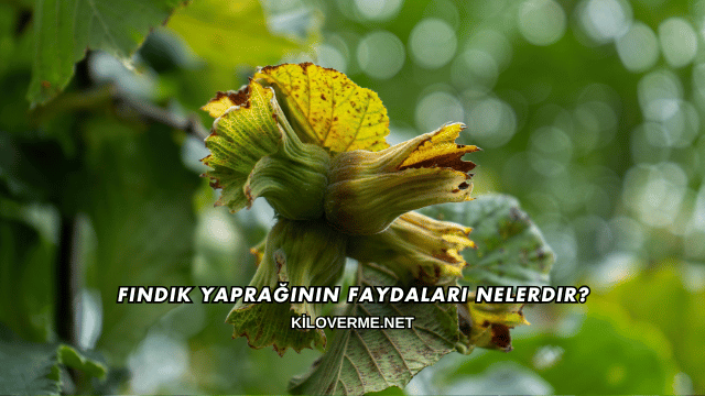 Fındık Yaprağının Faydaları Nelerdir?