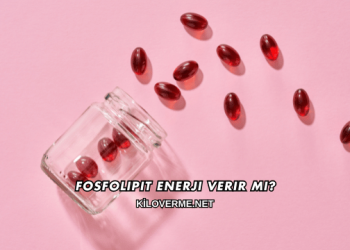 Fosfolipit Enerji Verir mi?